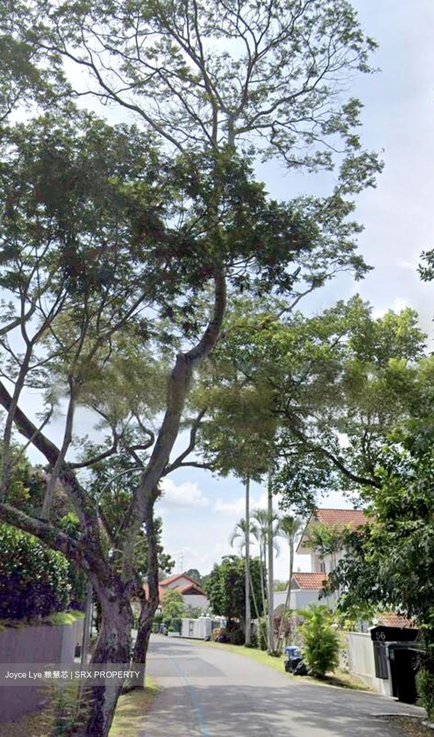 Belmont Road (D10), Detached #476742461